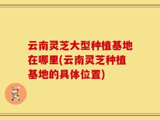 云南灵芝大型种植基地在哪里(云南灵芝种植基地的具体位置)