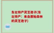 东北特产灵芝孢子(东北特产：来自原始森林的灵芝孢子)