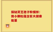 探秘灵芝孢子粉模样:微小颗粒蕴含巨大健康能量