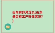 山东有野灵芝么(山东是否有出产野生灵芝？)