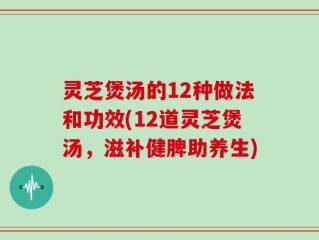 灵芝煲汤的12种做法和功效(12道灵芝煲汤，滋补健脾助养生)