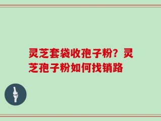 灵芝套袋收孢子粉？灵芝孢子粉如何找销路