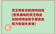 灵芝铁皮石斛炖鸡功效(营养美味的灵芝铁皮石斛炖鸡有助于提高免疫力和滋补身体)