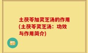 土茯苓加灵芝汤的作用(土茯苓灵芝汤：功效与作用简介)