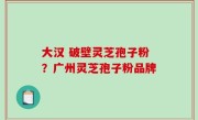 大汉 破壁灵芝孢子粉？广州灵芝孢子粉品牌
