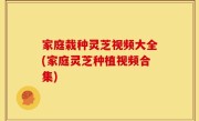 家庭栽种灵芝视频大全(家庭灵芝种植视频合集)