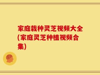 家庭栽种灵芝视频大全(家庭灵芝种植视频合集)