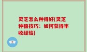 灵芝怎么种得好(灵芝种植技巧：如何获得丰收经验)