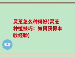 灵芝怎么种得好(灵芝种植技巧：如何获得丰收经验)