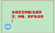 玉阁灵芝种植(玉阁灵芝：种植、养护及功效)