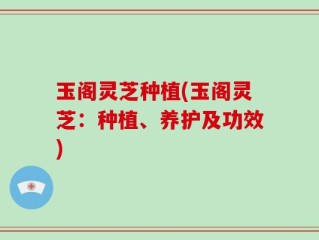玉阁灵芝种植(玉阁灵芝：种植、养护及功效)