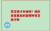 灵芝孢子长啥样？胡庆余堂里卖的是哪种灵芝孢子粉