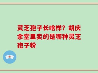 灵芝孢子长啥样？胡庆余堂里卖的是哪种灵芝孢子粉