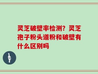 灵芝破壁率检测？灵芝孢子粉头道粉和破壁有什么区别吗