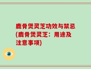 鹿骨煲灵芝功效与禁忌(鹿骨煲灵芝：用途及注意事项)