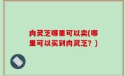 肉灵芝哪里可以卖(哪里可以买到肉灵芝？)