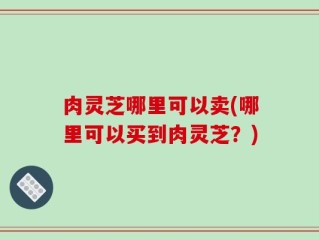 肉灵芝哪里可以卖(哪里可以买到肉灵芝？)