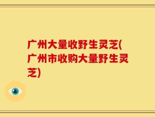 广州大量收野生灵芝(广州市收购大量野生灵芝)