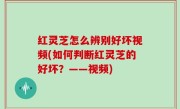 红灵芝怎么辨别好坏视频(如何判断红灵芝的好坏？——视频)