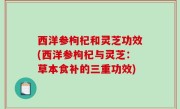 西洋参枸杞和灵芝功效(西洋参枸杞与灵芝：草本食补的三重功效)