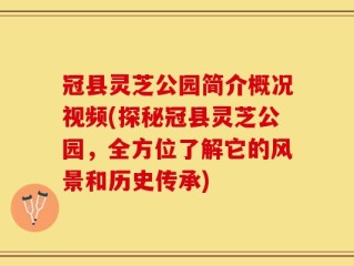 冠县灵芝公园简介概况视频(探秘冠县灵芝公园，全方位了解它的风景和历史传承)