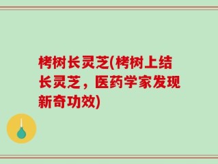 栲树长灵芝(栲树上结长灵芝，医药学家发现新奇功效)