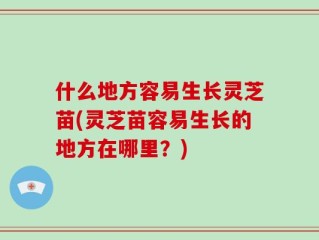什么地方容易生长灵芝苗(灵芝苗容易生长的地方在哪里？)