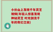 小伙山上发现千年灵芝视频(年轻人惊喜发现神秘灵芝 时光倒流千年的奇幻之旅)