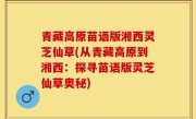 青藏高原苗语版湘西灵芝仙草(从青藏高原到湘西：探寻苗语版灵芝仙草奥秘)
