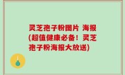 灵芝孢子粉图片 海报(超值健康必备！灵芝孢子粉海报大放送)