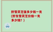野雪灵芝值多少钱一克(野生雪灵芝价格一克多少钱？)