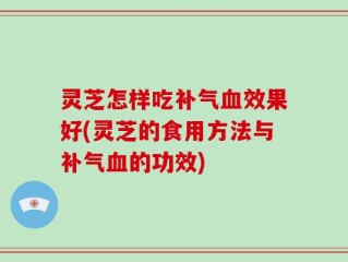 灵芝怎样吃补气血效果好(灵芝的食用方法与补气血的功效)