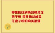 哪里能找到杨剑峰灵芝孢子粉 探寻杨剑峰灵芝孢子粉的购买渠道