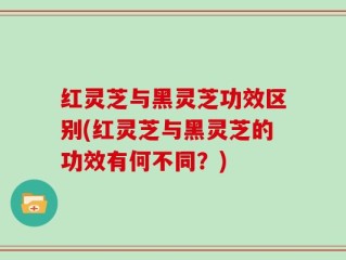 红灵芝与黑灵芝功效区别(红灵芝与黑灵芝的功效有何不同？)