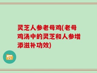 灵芝人参老母鸡(老母鸡汤中的灵芝和人参增添滋补功效)