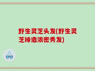野生灵芝头发(野生灵芝缔造浓密秀发)