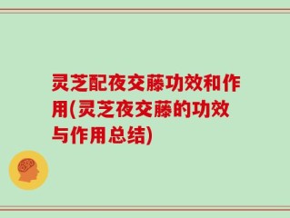 灵芝配夜交藤功效和作用(灵芝夜交藤的功效与作用总结)