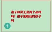 孢子和灵芝是两个品种吗？孢子是蘑菇的孩子吗