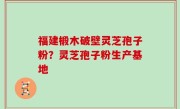 福建椴木破壁灵芝孢子粉？灵芝孢子粉生产基地