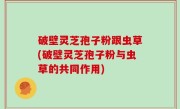 破壁灵芝孢子粉跟虫草(破壁灵芝孢子粉与虫草的共同作用)