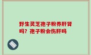 野生灵芝孢子粉养肝肾吗？孢子粉会伤肝吗