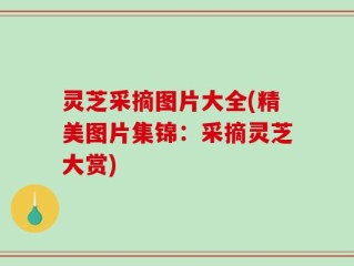 灵芝采摘图片大全(精美图片集锦：采摘灵芝大赏)