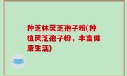种芝林灵芝孢子粉(种植灵芝孢子粉，丰富健康生活)