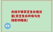光线不够灵芝生长情况是(灵芝生长环境与光线密切相关)