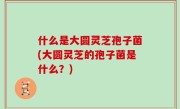 什么是大圆灵芝孢子菌(大圆灵芝的孢子菌是什么？)
