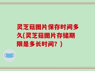 灵芝菇图片保存时间多久(灵芝菇图片存储期限是多长时间？)