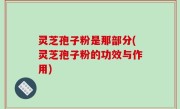 灵芝孢子粉是那部分(灵芝孢子粉的功效与作用)
