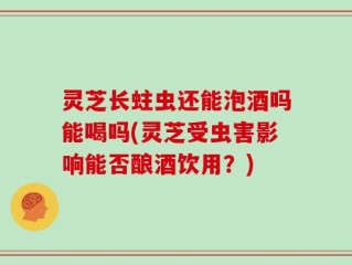 灵芝长蛀虫还能泡酒吗能喝吗(灵芝受虫害影响能否酿酒饮用？)