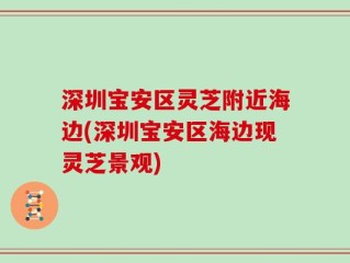 深圳宝安区灵芝附近海边(深圳宝安区海边现灵芝景观)