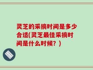 灵芝的采摘时间是多少合适(灵芝最佳采摘时间是什么时候？)